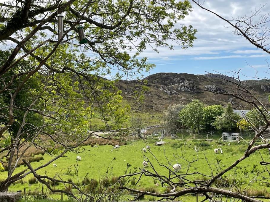 Beautiful Cottage In A Wonderful Highland Setting Drumbeg Buitenkant foto