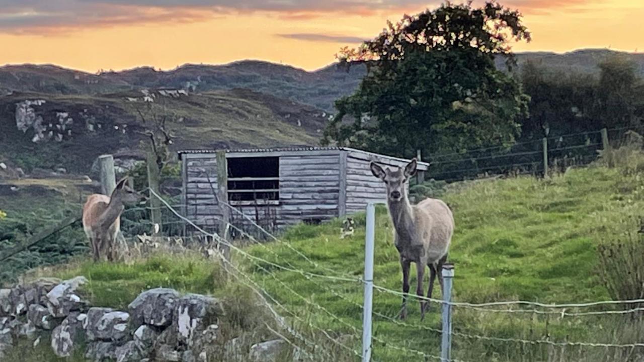 Beautiful Cottage In A Wonderful Highland Setting Drumbeg Buitenkant foto